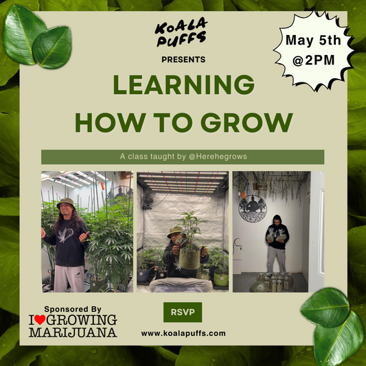 Learning How to Grow Class