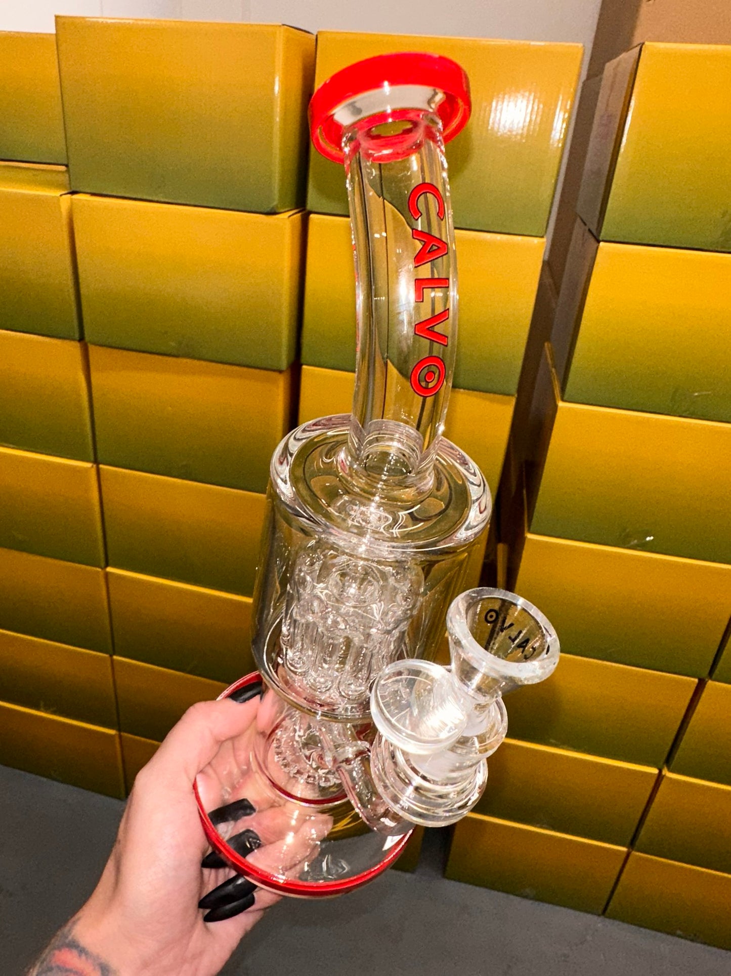Calvo Medium Shower Head Perc